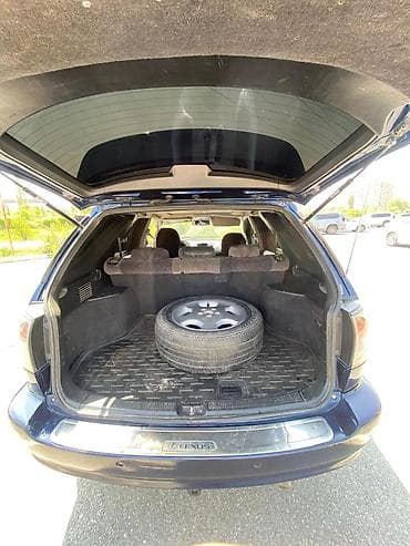 b class: Lexus RX: 1999 г., 3 л, Автомат, Бензин, Кроссовер — 7