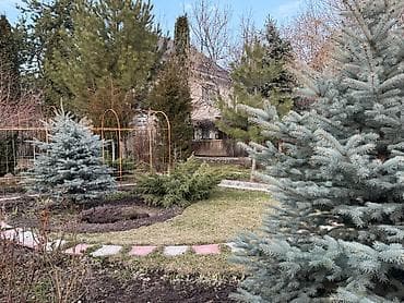 этажный дом: Уютный дом с садом у гор — всего в нескольких минутах от города! — 9
