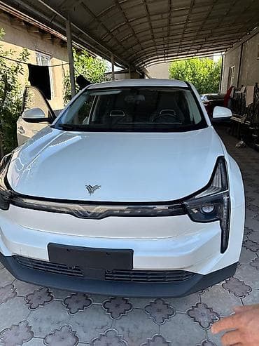 Voyah: Voyah Dream: 2022 г., Автомат, Электромобиль, Кроссовер — 2