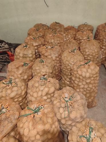 Овощи: Картошка — 2