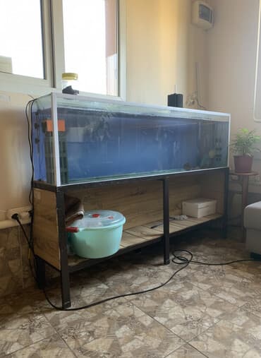 отдам в добрые руки собаку: Аквариум 240 литров длинный и пропорциональный, в комплекте подставка — 2