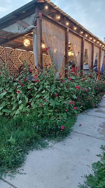 Недвижимость: 🏡 **Продаётся дом в Новопокровке** 📍 Локация: с. Новопокровка, между — 9