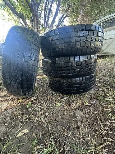 сапок 2 скатный: Шины 205 / 60 / R 16, Всесезонная, Б/у, Комплект, Легковые, Dunlop — 2