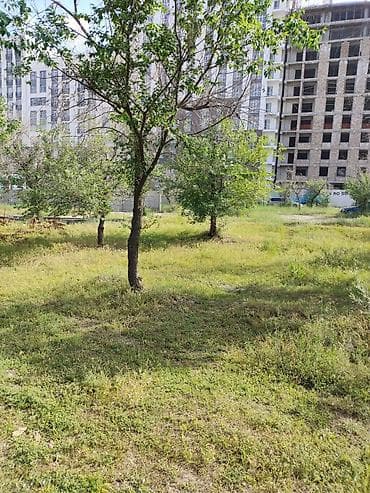 open space: 5 соток — 3