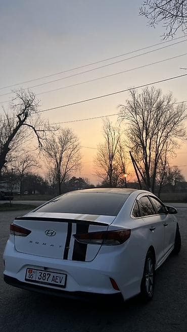 каврик: Hyundai Sonata: 2018 г., 2 л, Автомат, Газ, Седан — 5