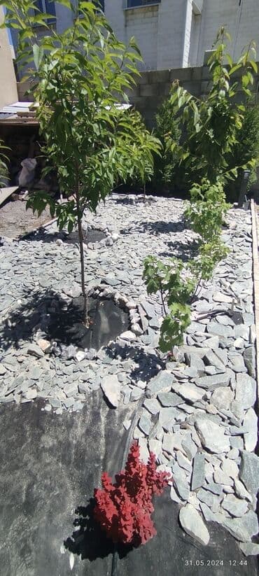 система автополива: Автополив газона + Ландшафтный дизайн Ваш участок всегда зелёный и — 13