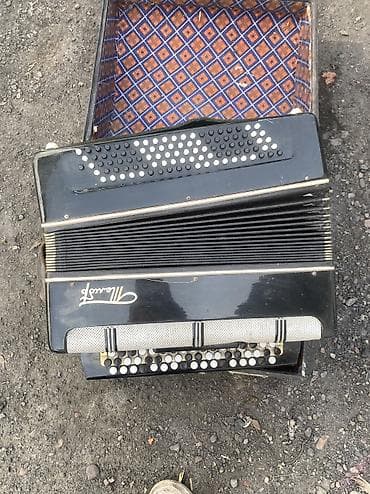 line 6: Продаю Баян полностью работает По цене договоримся нужно протереть и — 1