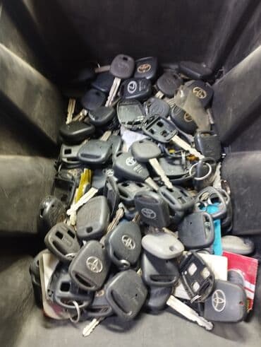 Бала бакчалар, бала багуучулар: Компьютердик диагностика, Автоунаа системаларын жөнгө салуу, адаптациялоо, баруу менен — 14