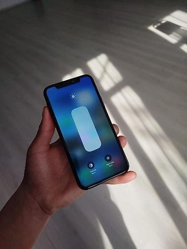 IPhone 11 Pro, Колдонулган, 256 ГБ, Күмүш, Каптама — 3