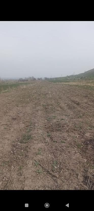 Недвижимость: 1 соток, Для сельского хозяйства, Тех паспорт — 7