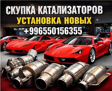 raspberry pi 4: Сервис по работе с автомобильными катализаторами. - Скупка — 1