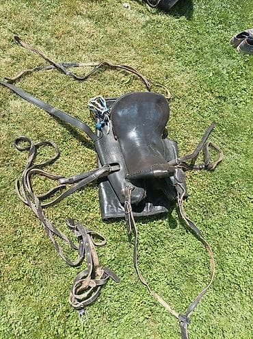 спортивный седло: Продаю кожаные сёдла в комплекте. (6 шт делали на заказ) катали — 3