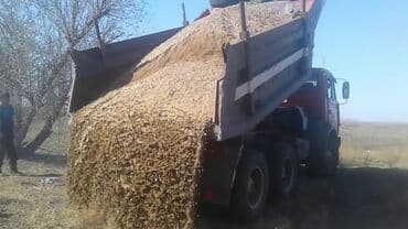 ведро эмалированное с крышкой 10л цена бишкек: Грави гравий гравий
Шагыл шагыл шагыл
КамАЗ Зил — 1