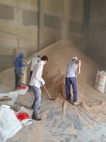 рэгдолл цена: Отруби отруби Отруб отруб Улпак улпак Улпаг улпак Кепек Кебек Кевек — 10