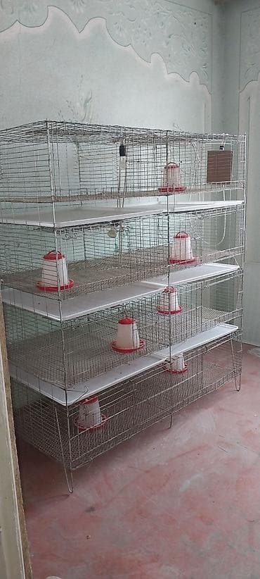 pro plan: Многоярусная клеточная батарея для цеплятперепелов — 4