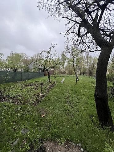 мин булак: 4 соток, Бизнес үчүн, Кызыл китеп — 7