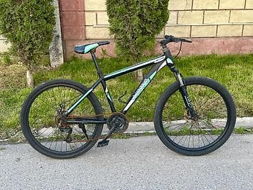 viper v250 r1: Горный велосипед, Барс, Рама M (156 - 178 см), Сталь, Б/у — 1