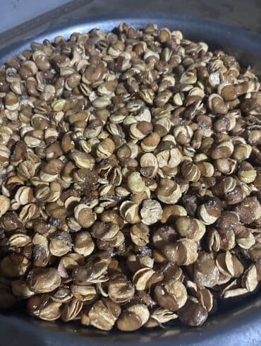 удобрение органика: Продаю ГОЛЛАНДСКИЕ бобы сухие для жарки Без червей, качество — 2