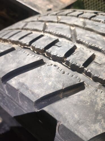 шины на трактор мтз: Шиналар 315 / 60 / R 22,5, 1 даана, Michelin — 2