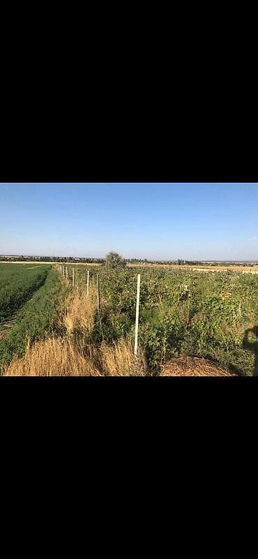 красный книга: 100 соток, Для сельского хозяйства, Красная книга — 3