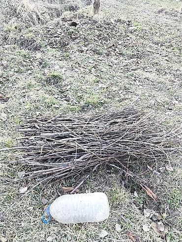 топор пожарный: Дрова — 1