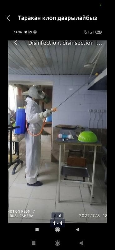 сколько стоит дезинфекция: Дезинфекция дезинфекция дезинфекция дезинфекция дезинфекция Таракан — 3