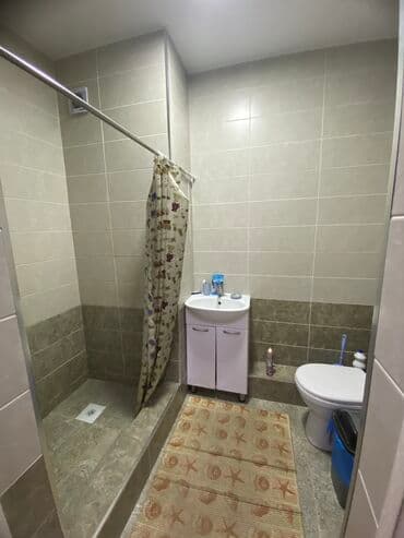 дом для гостей: 1 комната, 40 м², Элитка, 4 этаж, Евроремонт — 8