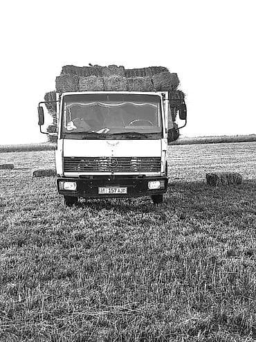 Грузовик, Mercedes-Benz, Стандарт, 7 т, Б/у