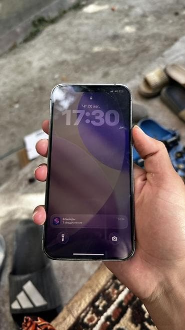 matrex 55: IPhone 12 Pro Max, Б/у, 256 ГБ, Черный, Защитное стекло, Чехол, 86 % — 8
