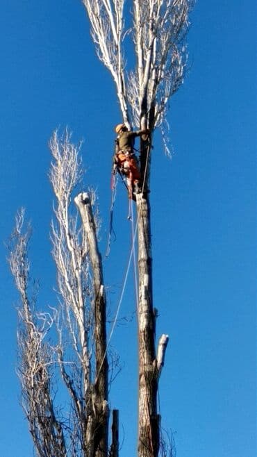 ремонт крыши многоквартирного дома бишкек: Спил аварийных деревьев, заготовка дров, заготовки для материала, пилю — 4