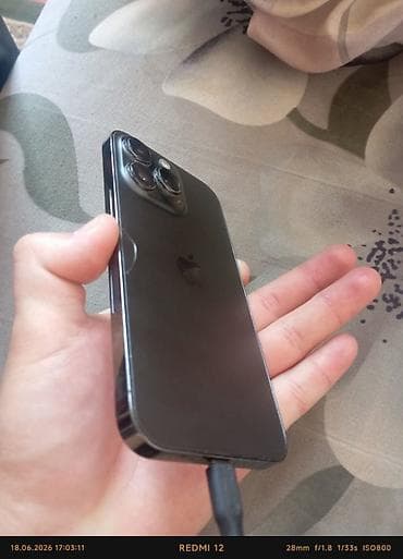 e96a hoco: IPhone 13 Pro, 256 ГБ, Natural Titanium, 81 % — 2