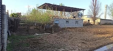 комната берем: 30 соток, Для строительства, Красная книга — 4