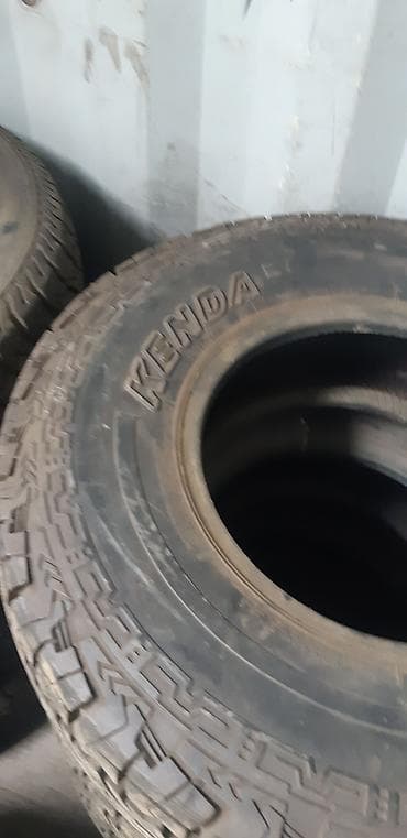 Капкактар: Дисктер R 15 — 6