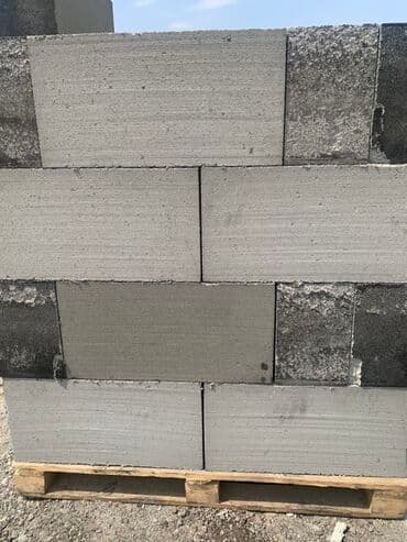 палестра блок: Газоблок, Неавтоклавный, 600x200x300, D600 — 2