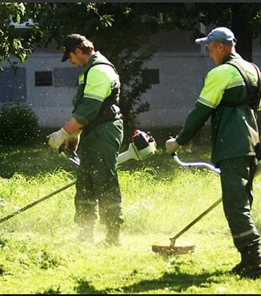 master clean: Уборка территории, Уборка двора и сада — 1