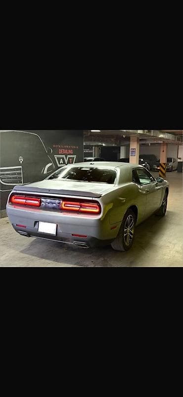 водовоз купит: Dodge Challenger: 2019 г., Автомат, Бензин, Купе — 2