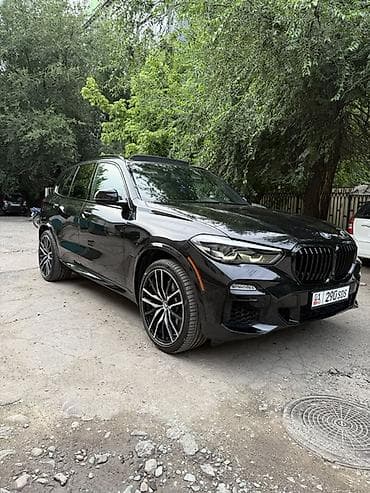 BMW X5: 2018 г., 3 л, Автомат, Бензин, Внедорожник — 1