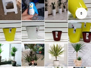 цветочница: Цветочные горшки Лотки, Висячие горшки, Прямоугольные горшки — 3