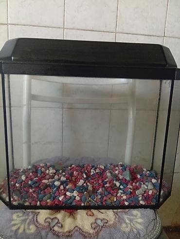 декоративные рыбы: Аквариум с крышкой и декоративным грунтом - Форма: прямоугольный, с — 1