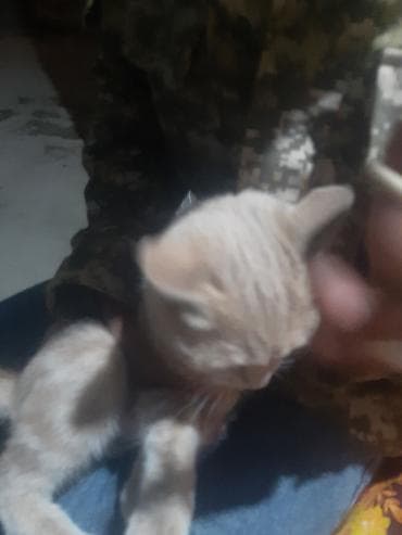 объявления о потере документов: Бюро находок — 3
