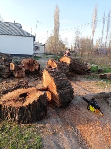 цены на строительные работы в бишкеке 2022: Услуги арбориста обследование дерева и экспертная оценка его — 13