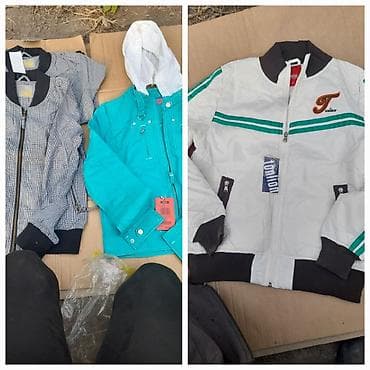 котёнок даром: Актуально.Обмен на мед,на порошок ушастый нянь 4 кг.Куртки в — 7