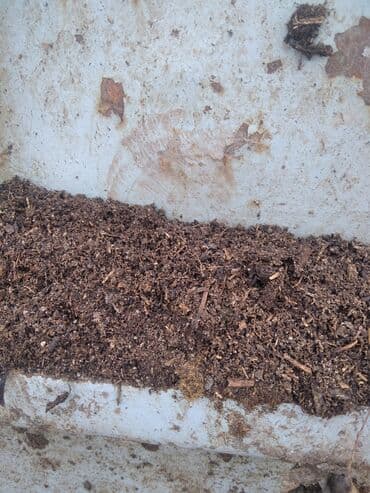 Уголь: Перегной чорнозём горный — 2