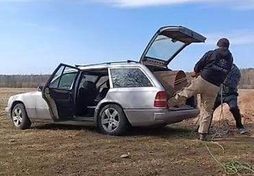 Mercedes-Benz W124: 1988 г., 2.3 л, Автомат, Бензин, Универсал