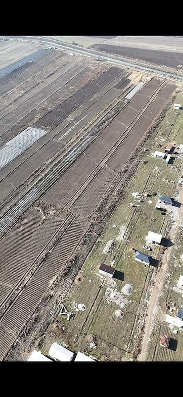 куплю участок кут: 300 соток, Для бизнеса, Договор дарения — 5
