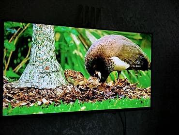 tcl: Smart TV TCL оригинал, диагональ 42 Андроид TV качество изображения — 4