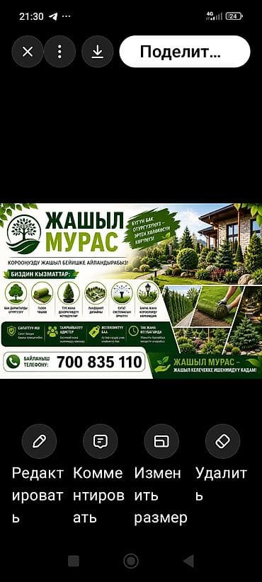 грин сити: Профессиональные услуги по озеленению и благоустройству от «Жашыл — 1