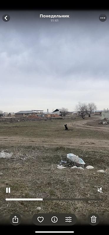 участок поле: 4 соток, Для строительства, Красная книга — 2