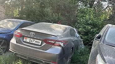 camry: Toyota Camry: 2019 г., 2.5 л, Седан — 1