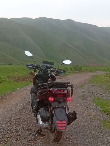 мопеды танк: Скутер түрү Tank, 150 куб. см, Бензин — 2